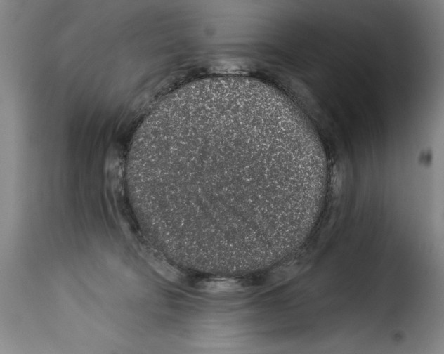 X0000114210322200911201028