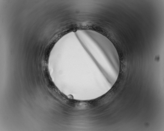 X0000114210324200911201028