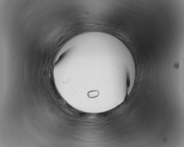 X0000114210325200911201028