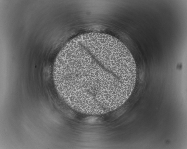 X0000114210326200911201028