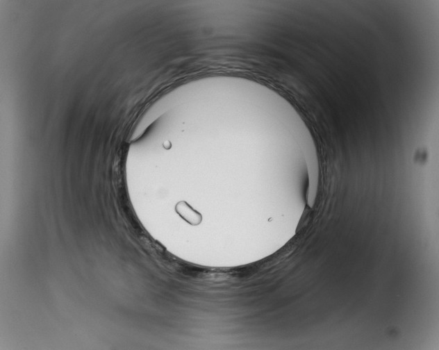 X0000114210327200911201028