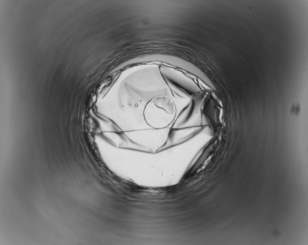 X0000114210328200911201028
