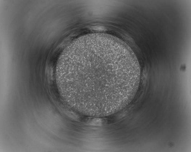 X0000114210330200911201028