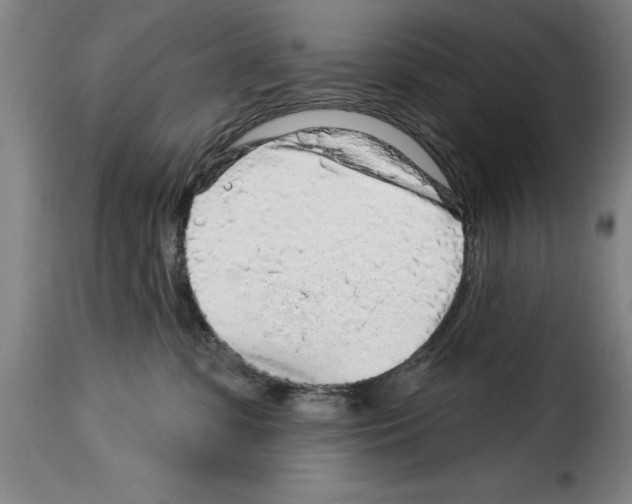 X0000114210331200911201028