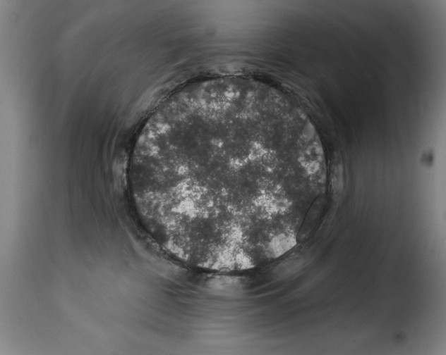 X0000114210332200911201028