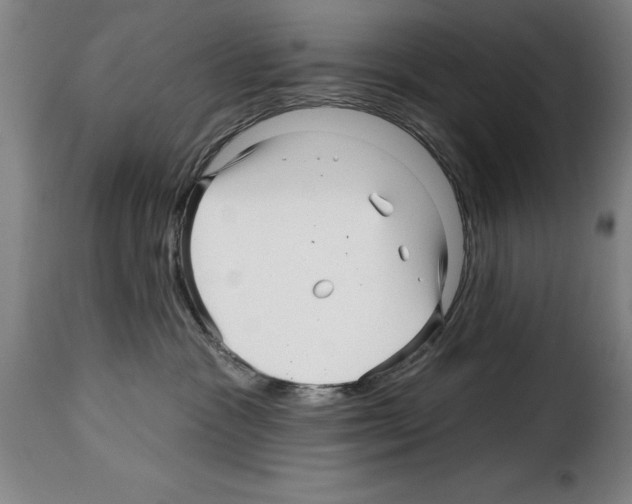 X0000114210333200911201028