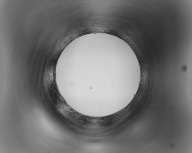 X0000114210334200911201028