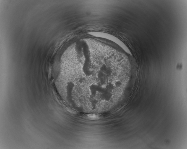 X0000114210335200911201028