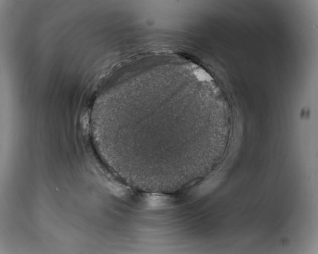 X0000114210336200911201028