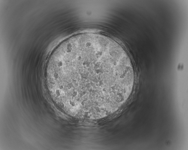 X0000114210337200911201027