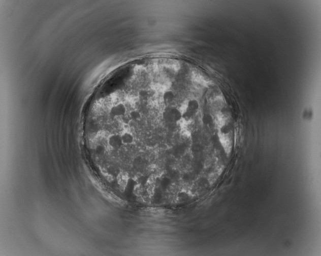 X0000114210339200911201027
