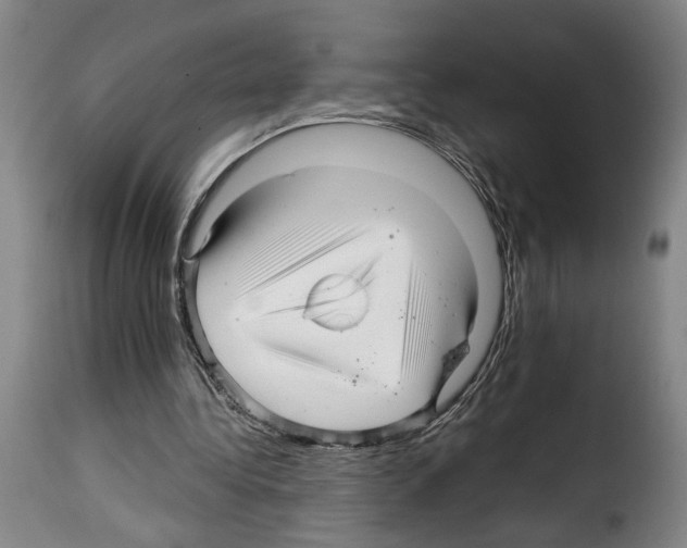 X0000114210340200911201027