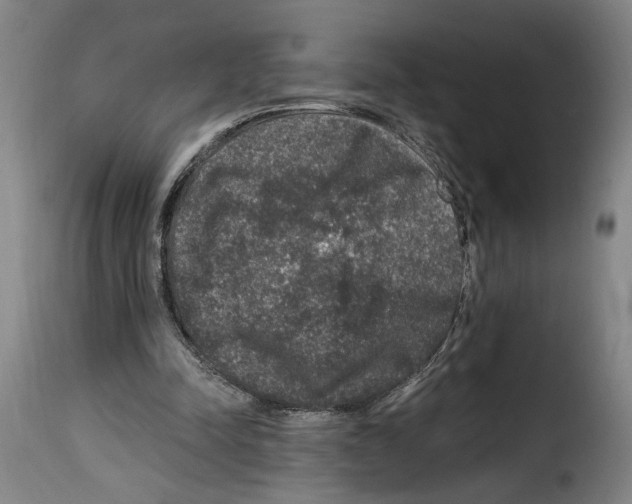 X0000114210342200911201027