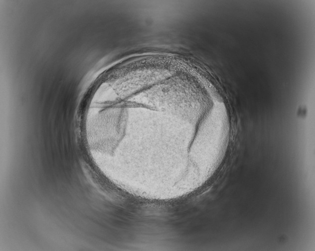 X0000114210343200911201028