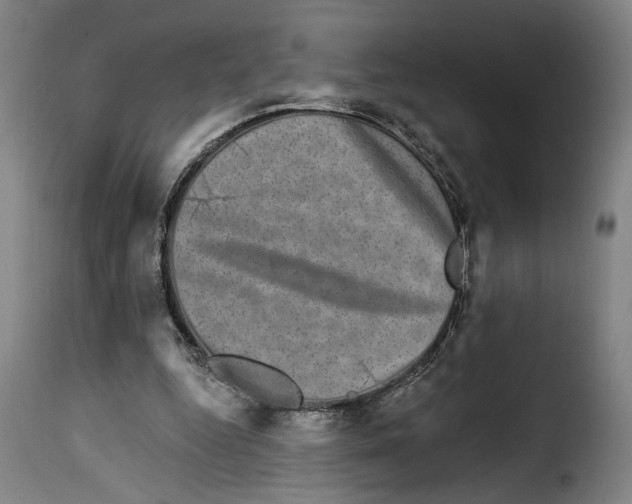 X0000114210344200911201028