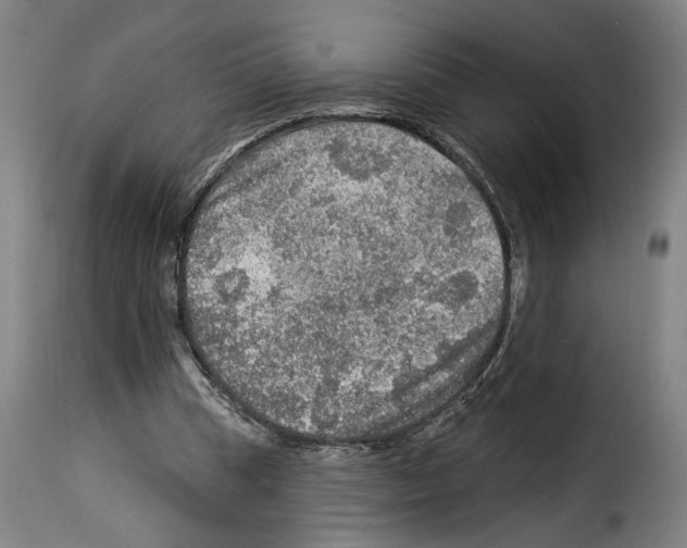X0000114210345200911201028