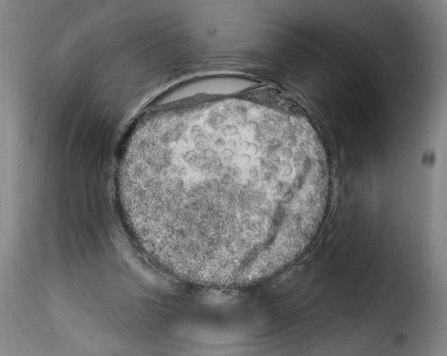 X0000114210346200911201028