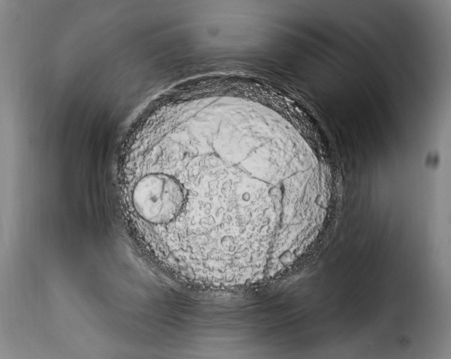 X0000114210347200911201028