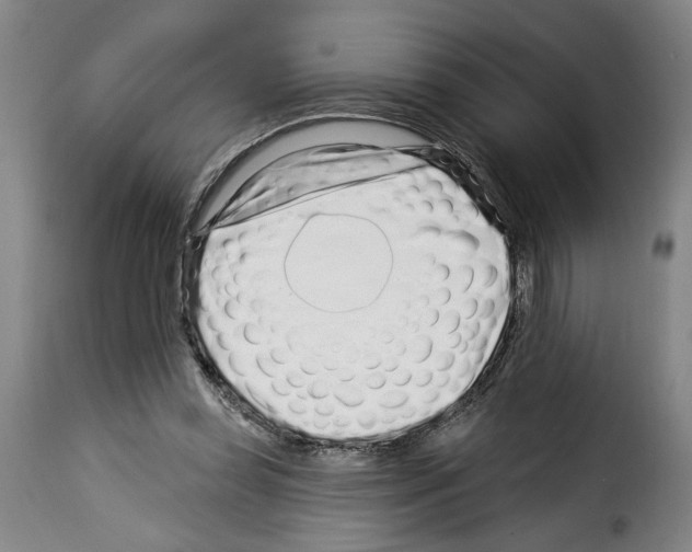 X0000114210349200911201028