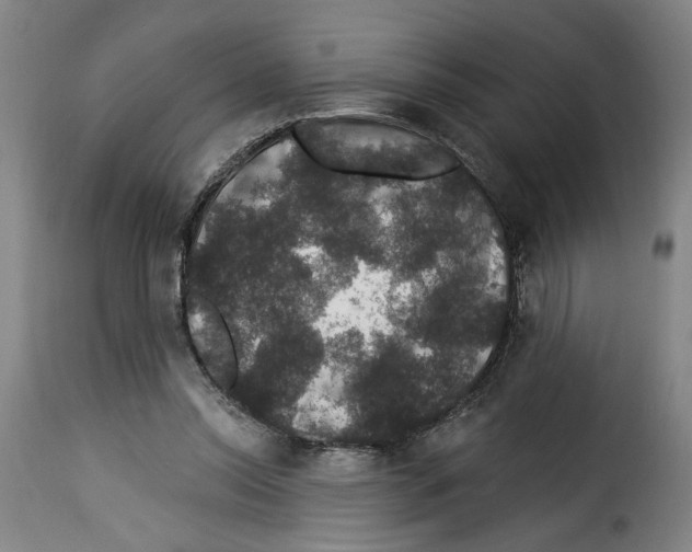 X0000114210350200911201028