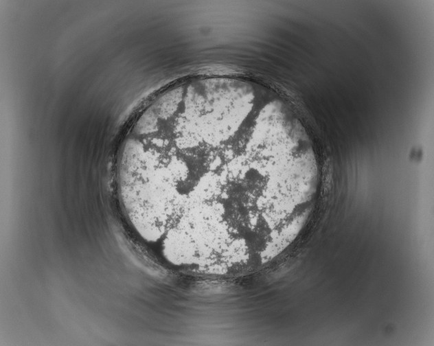 X0000114210351200911201028