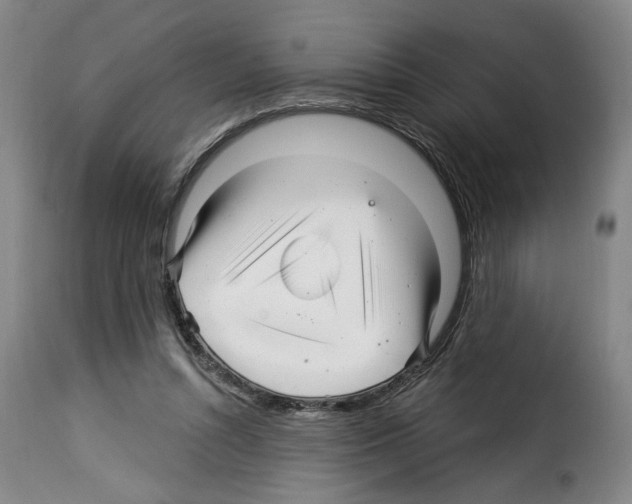 X0000114210352200911201028