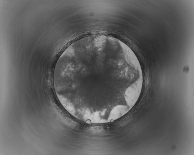X0000114210353200911201028