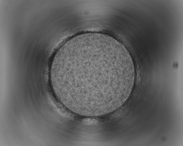 X0000114210354200911201028