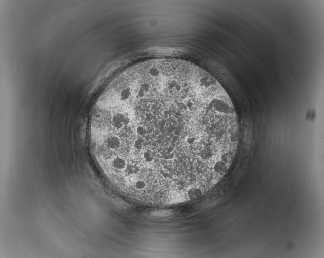 X0000114210357200911201028
