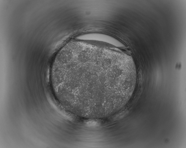 X0000114210358200911201028