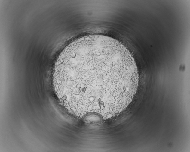 X0000114210359200911201028