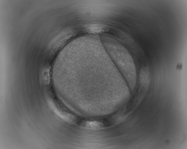 X0000114210360200911201028