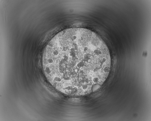 X0000114210361200911201028