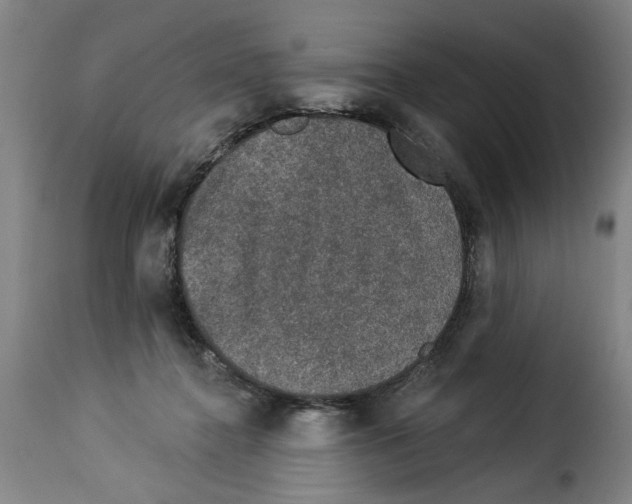 X0000114210364200911201028