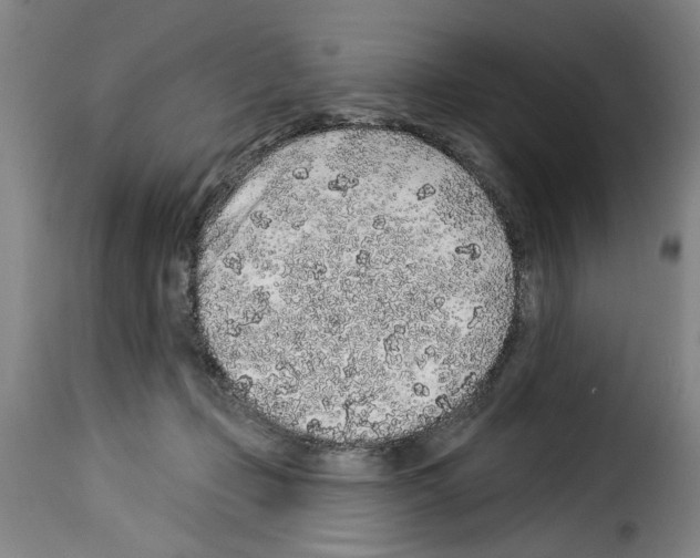 X0000114210365200911201028
