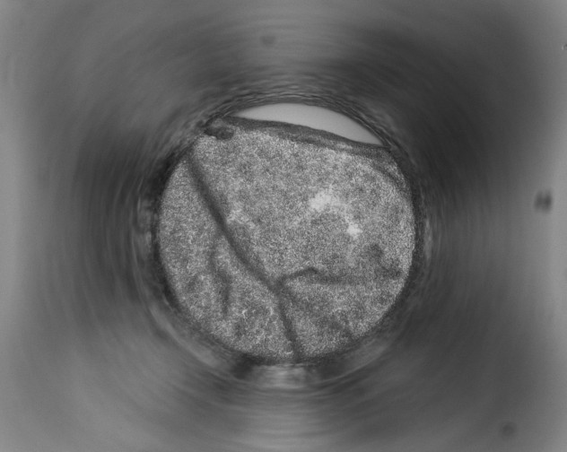 X0000114210366200911201028