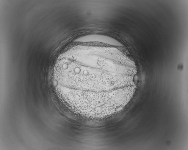 X0000114210367200911201028