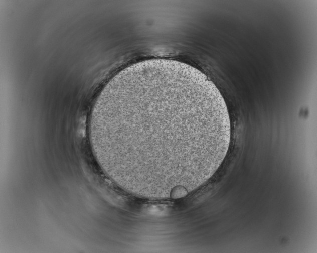 X0000114210368200911201028