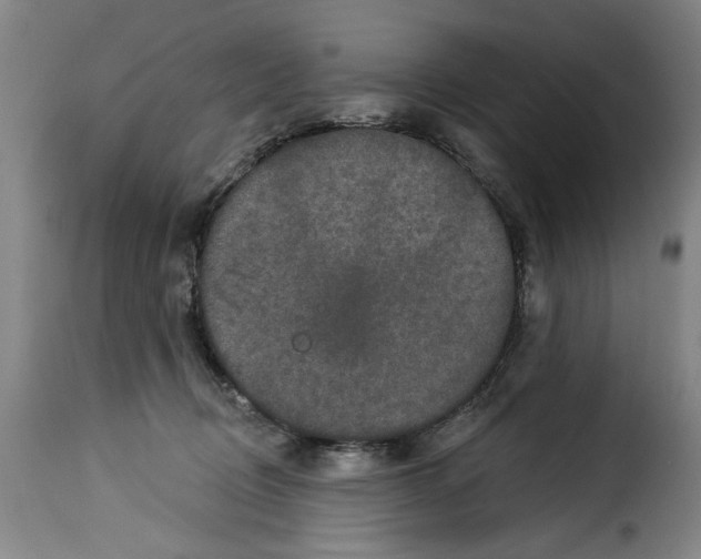 X0000114210370200911201028