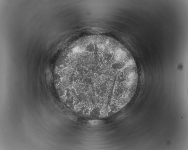 X0000114210371200911201028