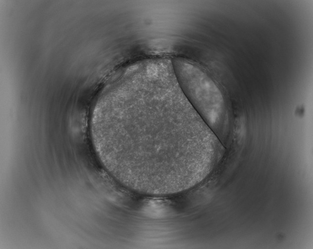 X0000114210372200911201028