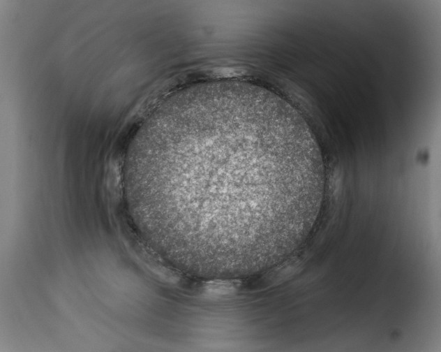 X0000114210373200911201028