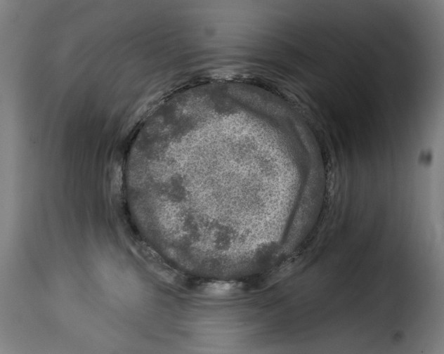 X0000114210375200911201028