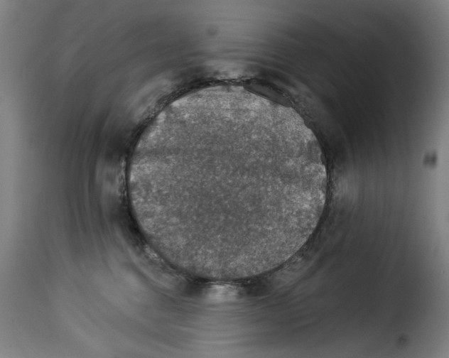 X0000114210376200911201028