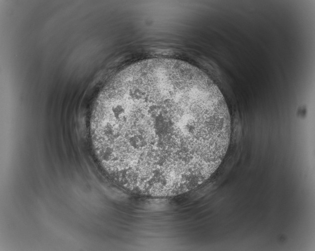 X0000114210377200911201028