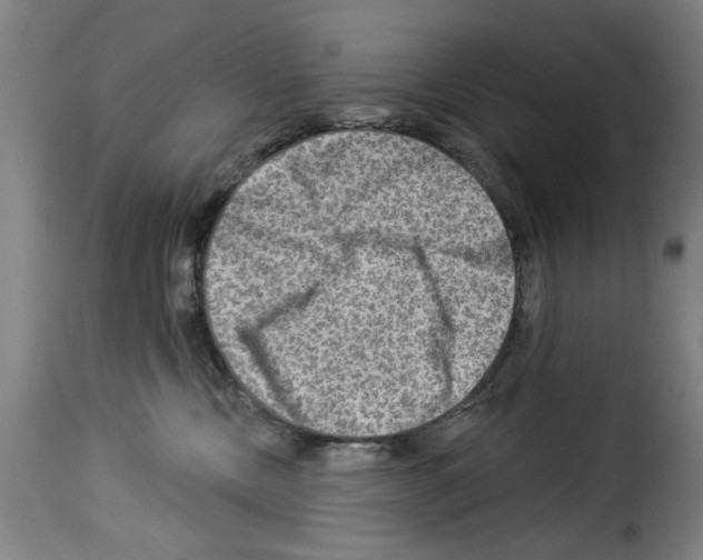 X0000114210378200911201028