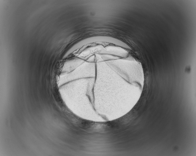X0000114210379200911201028