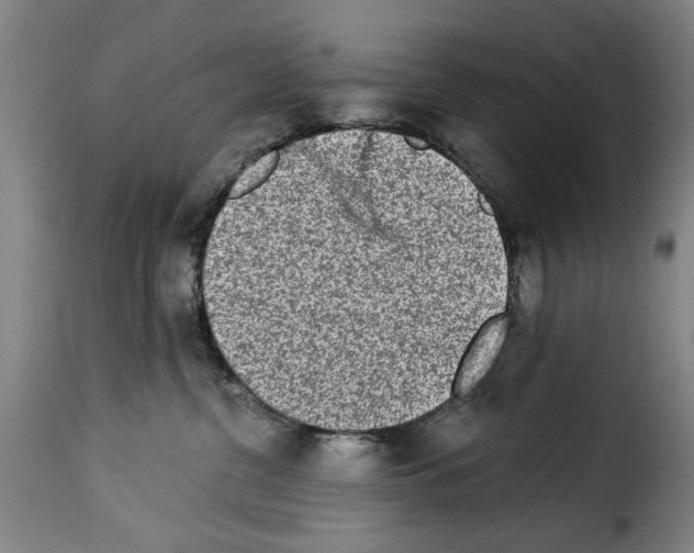 X0000114210380200911201028