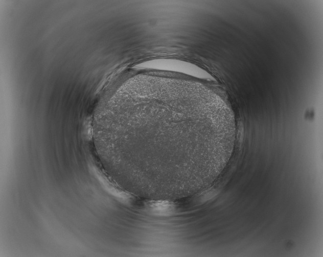 X0000114210383200911201028