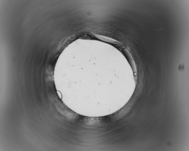 X0000114210384200911201028